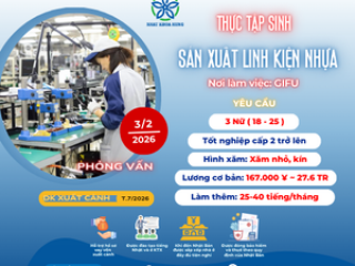 | GIFU | SẢN XUẤT LINH KIỆN NHỰA LÀM VIỆC TRONG NHÀ XƯỞNG THU NHẬP TỐT